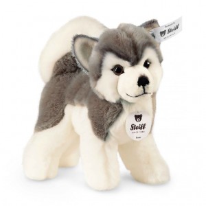 Steiff Pets Farm Stuffed Animals White | 0369-OWCJM